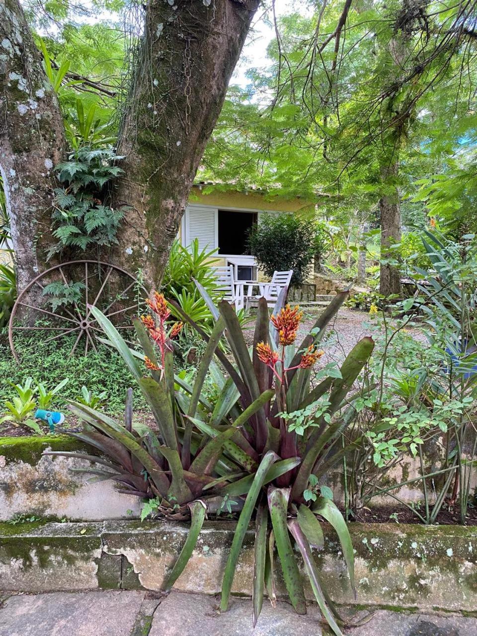 Pousada Casa Do Ipe Amarelo Miguel Pereira Luaran gambar