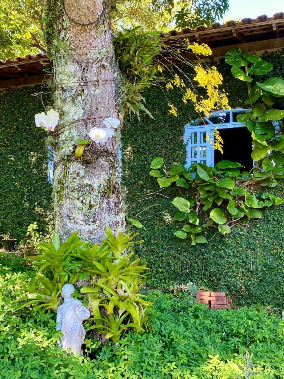 Pousada Casa Do Ipe Amarelo Miguel Pereira Luaran gambar